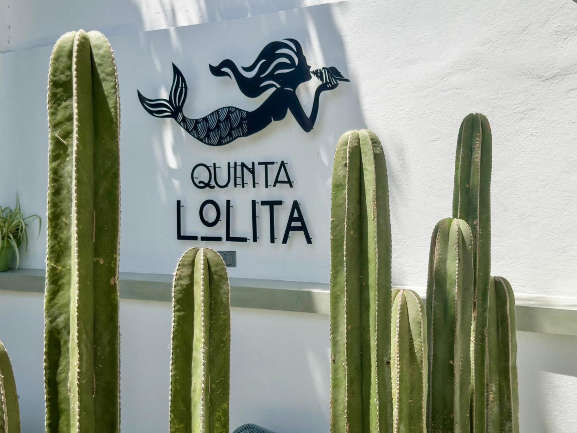 Quinta Lolita - La Paz Baja California Sur Hotel Exterior photo